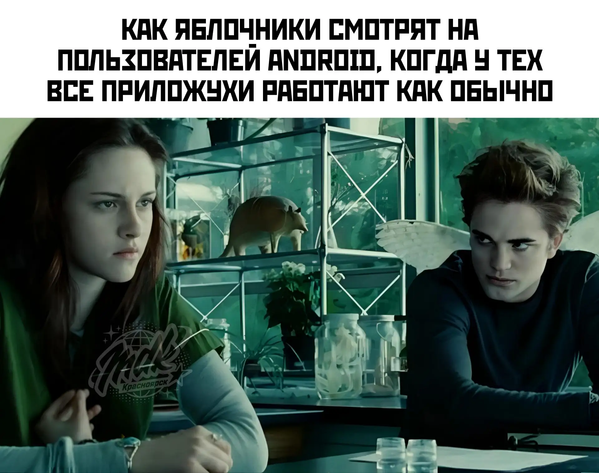 Android и их владельцы в прайме. У них есть всё