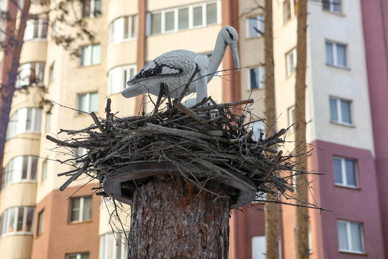 Сколько простоят новосибирские новостройки

437 многоквартирных жилых домов построили в Новосибирске