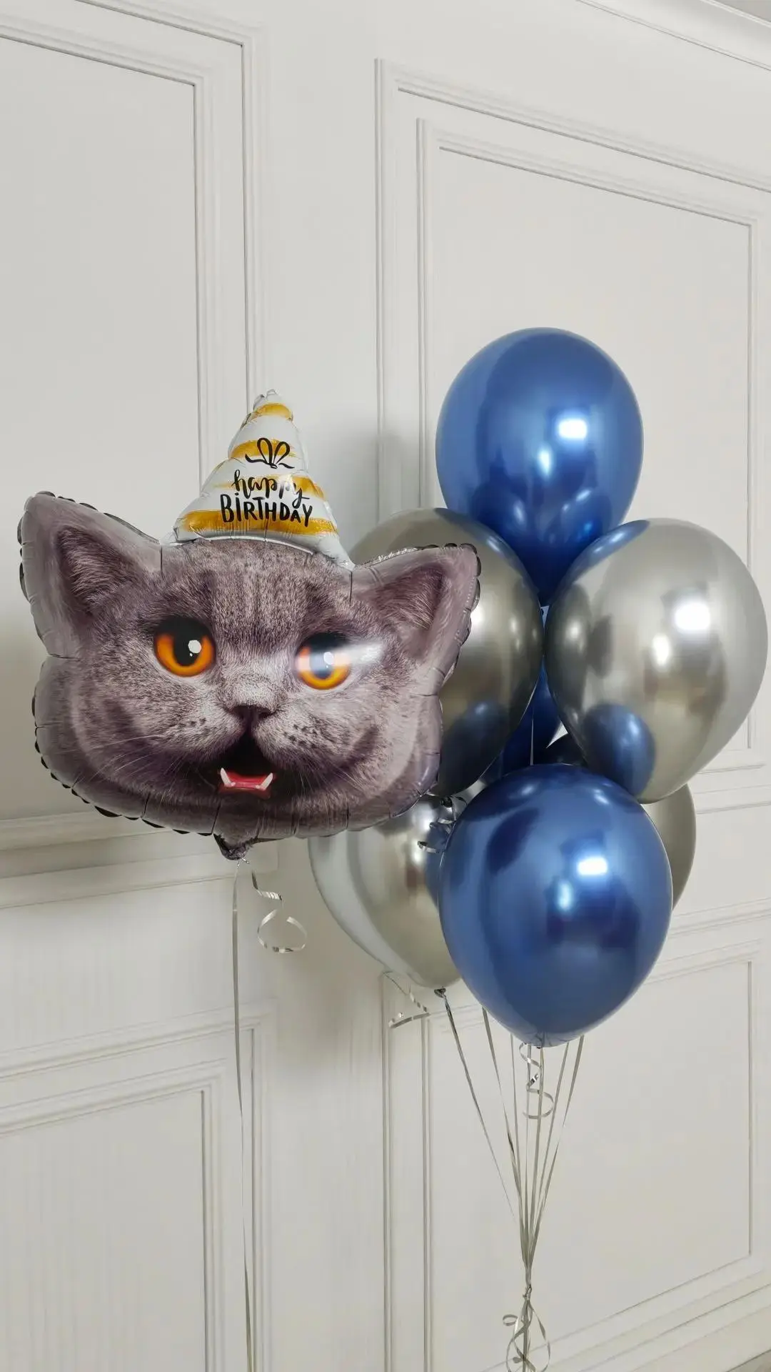 😺 Когда хочется подарить настроение, а не просто шарики: кот в праздничной шапочке и б...