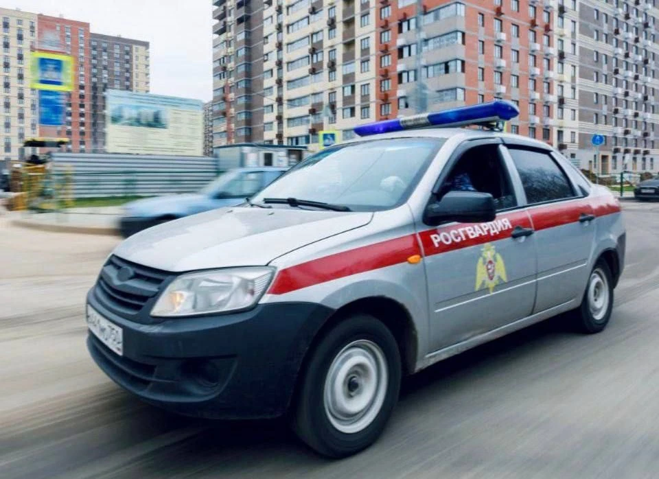 🛡️  Ножевое ранение коллеги, пьяный взлом и избиение у водоема: хроника задержаний сотрудниками Рос