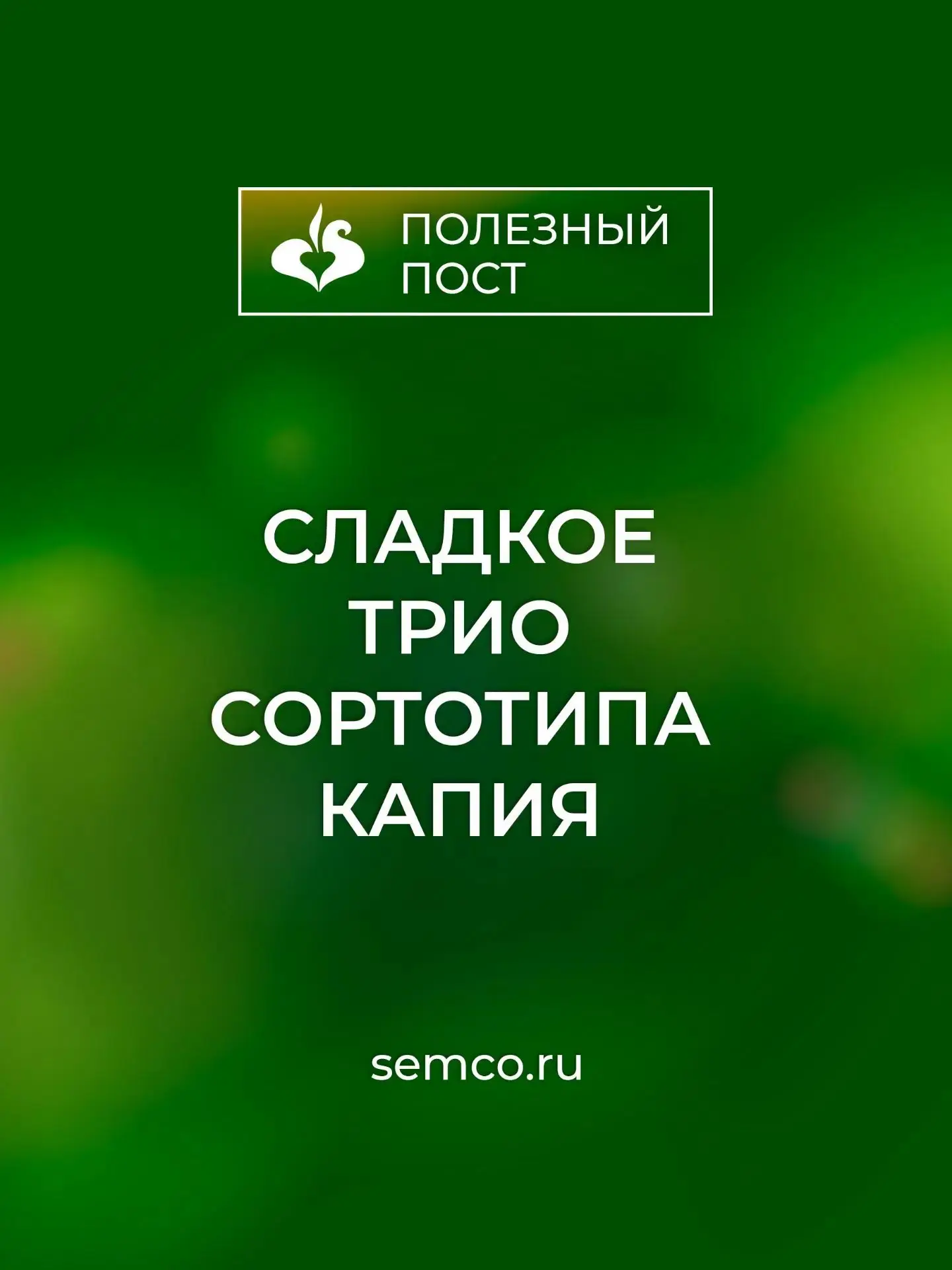 Сладкое трио сортотипа Капия.