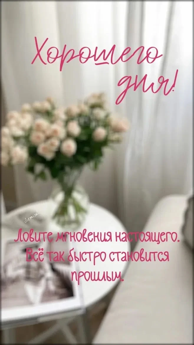 Рай открыток | Открытки 🥰