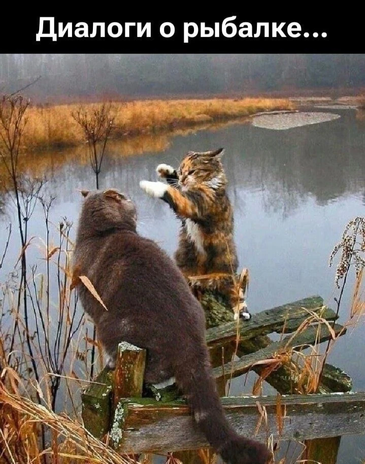 Один смех | в MAX