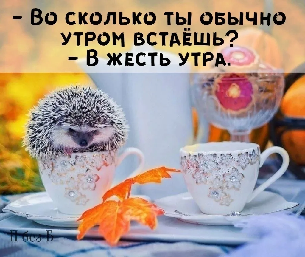 #доебутро