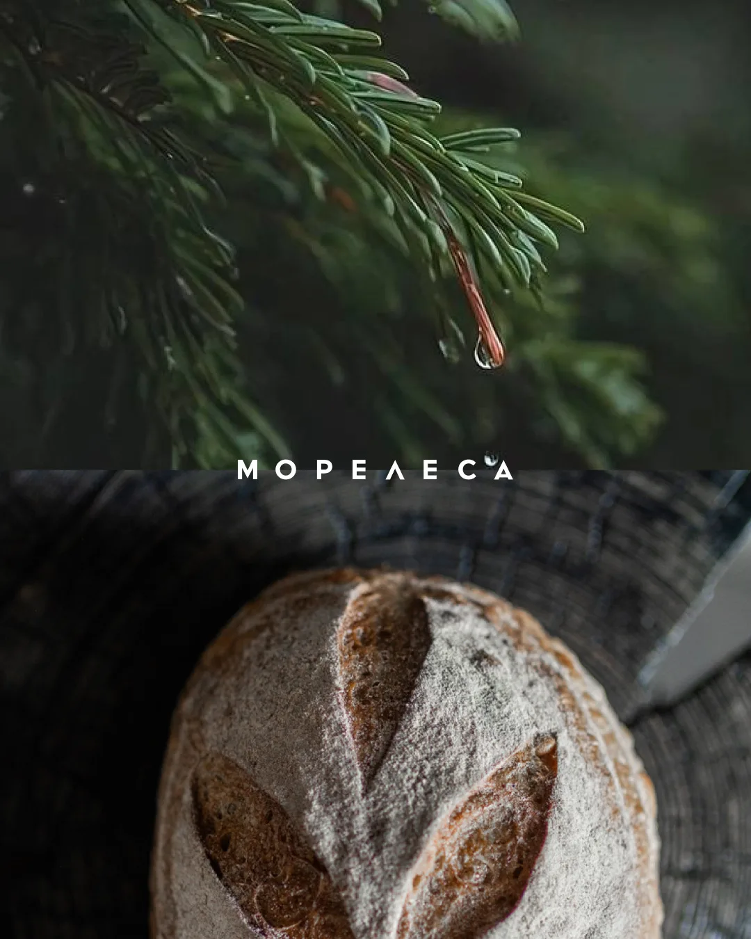 Истории Хлеба × МОРЕЛЕСА
