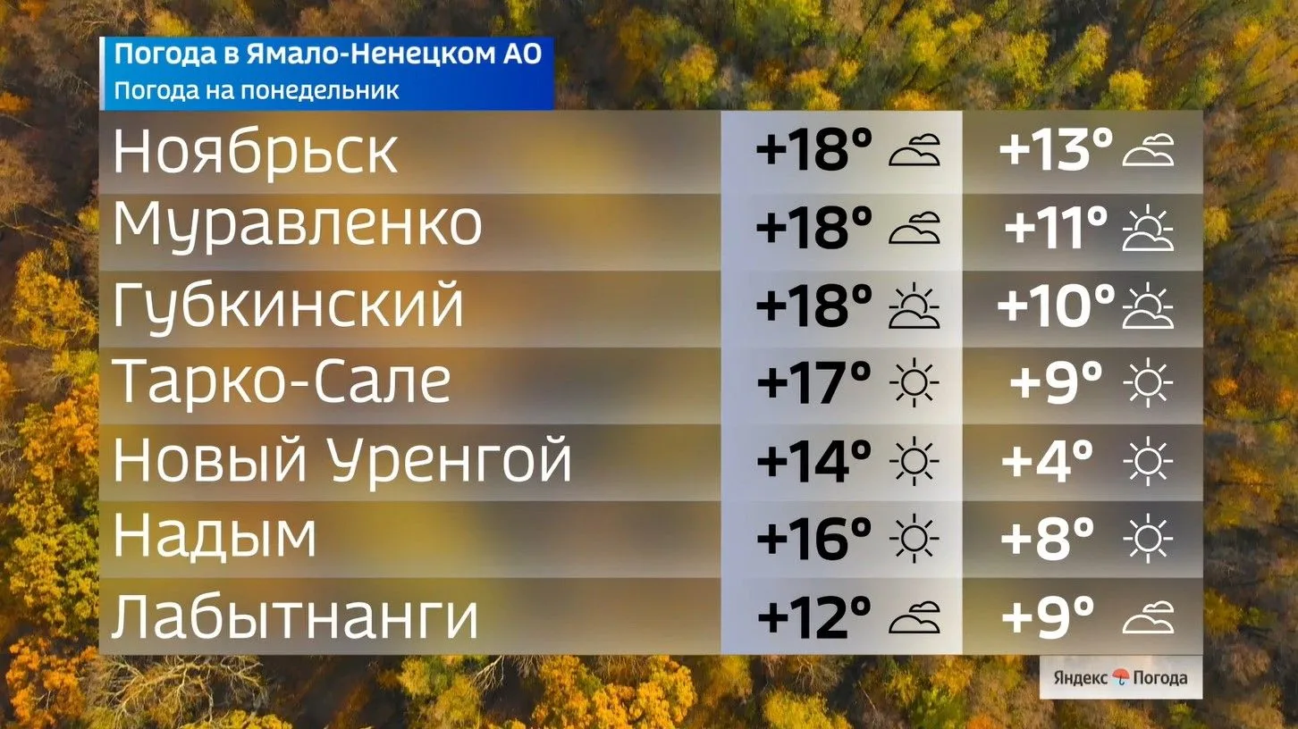 🍁 Начало недели принесёт Ямалу прохладу