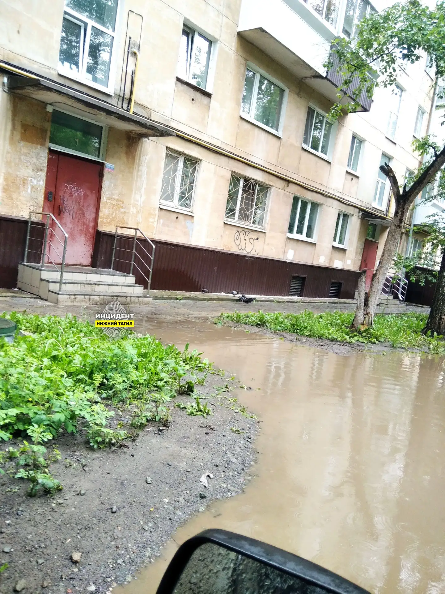 🏡 Проблема комфорта на придомовой территории: жалобы жителей на бездействие УК на улиц...