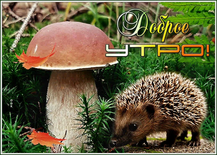 С добрым утром!
