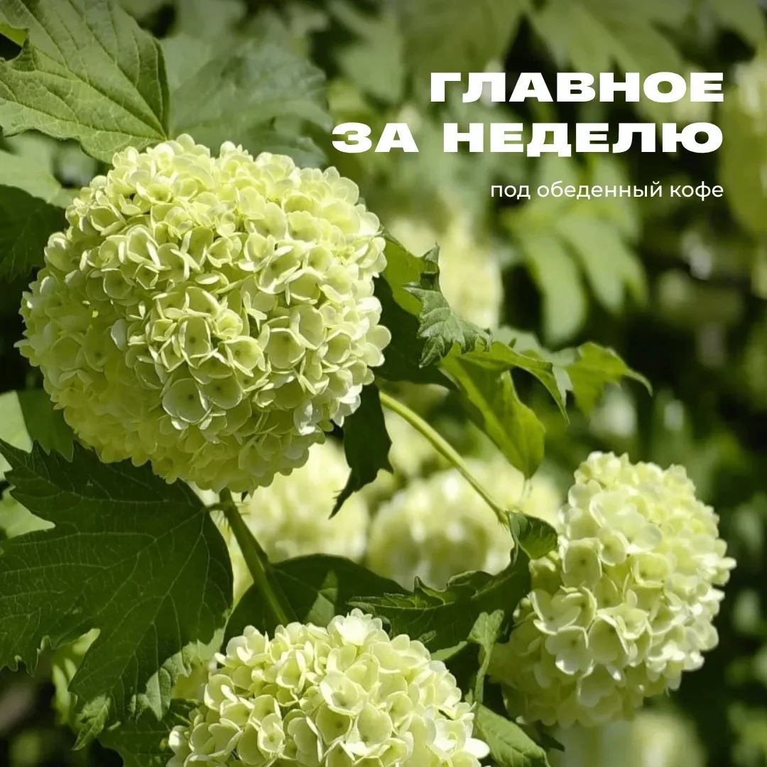 Длинные выходные позади. Надеемся, они подарили вам тепло и яркие моменты 🌱

Чем запомнилась прошла