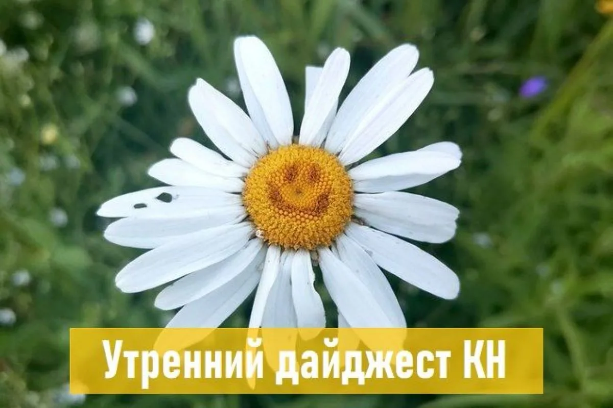 События, факты, мнения: ранены несколько человек, повреждены частные и многоквартирные ...