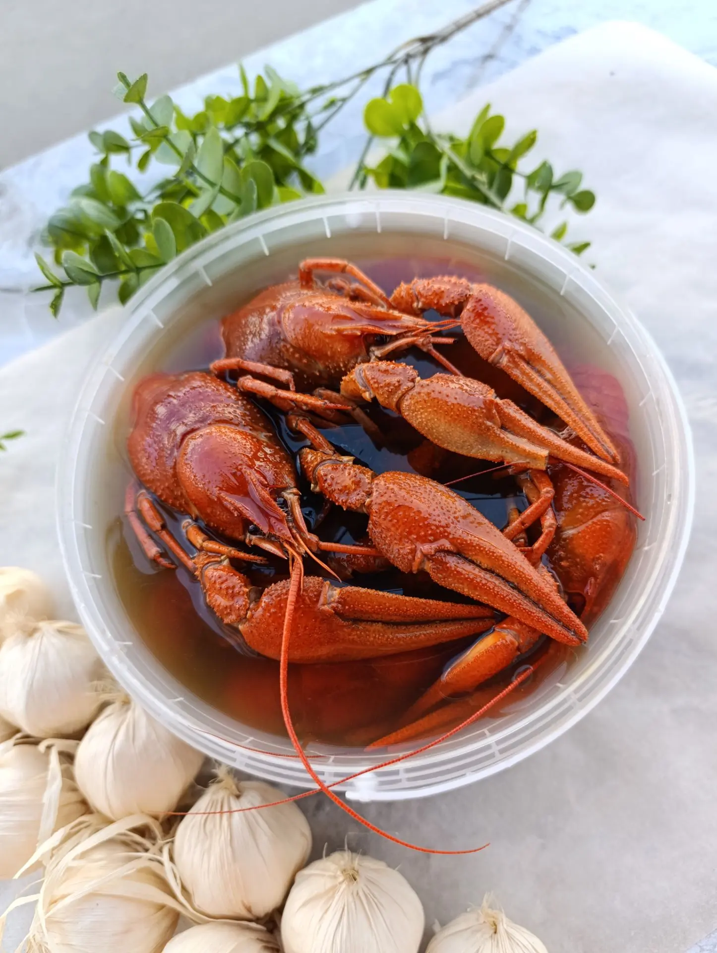 🦞РАКИ🦞РАКИ🦞РАКИ🦞