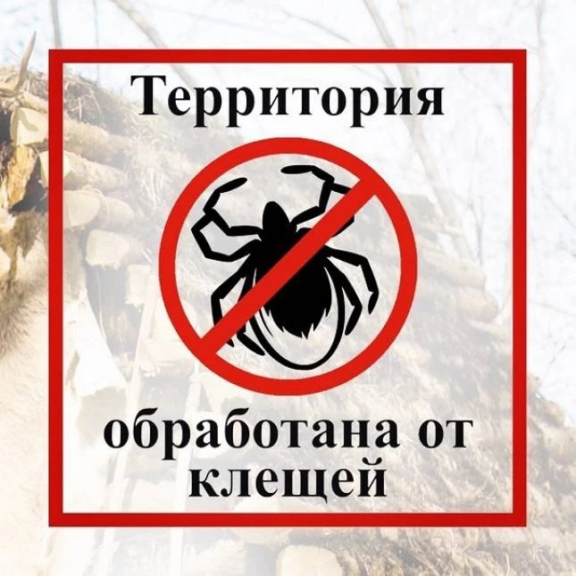 ПРОТИВОКЛЕЩЕВАЯ ОБРАБОТКА