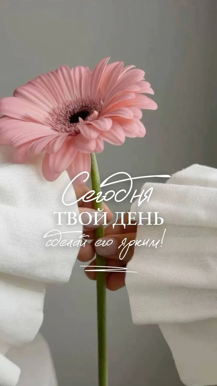 🥰 Оставляйте реакции, если понравилась открытка и делитесь с близкими ❤️

Лучшие Открытки в MAX
