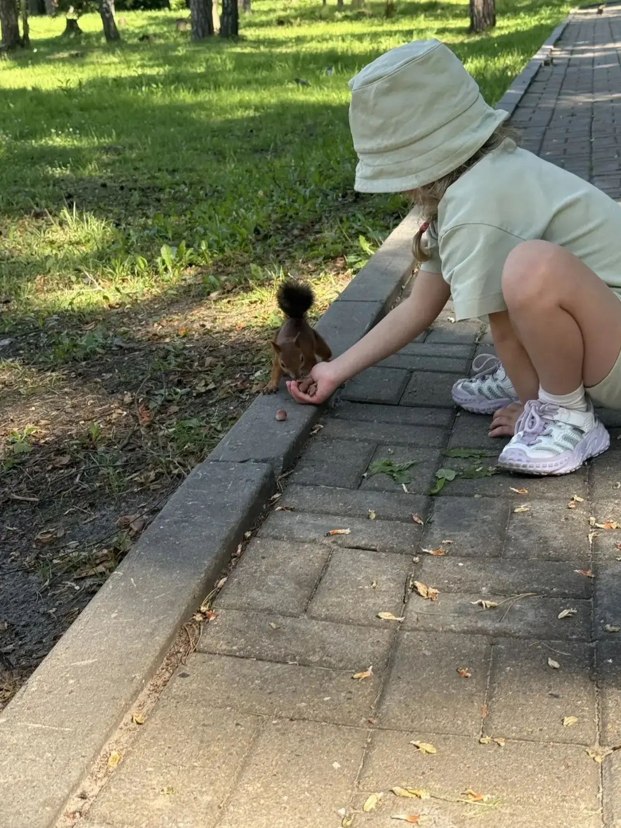 🐿 В парке им. Гагарина есть настоящий беличий городок. Ну вы уже знаете 😃