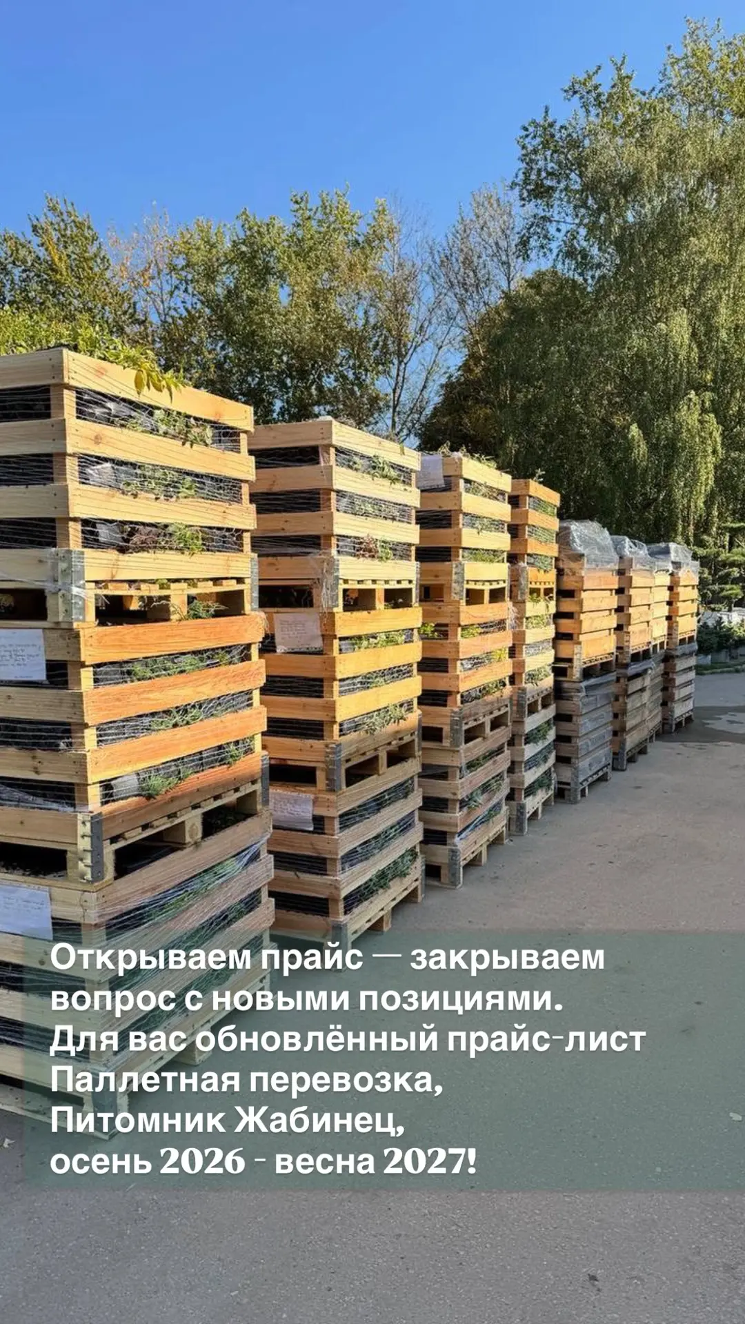 До сезона далеко. До хороших закупок — нет! 💥