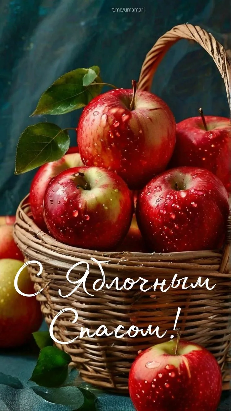 🍎 Яблочный Спас 2026: встречаем ароматный урожай!