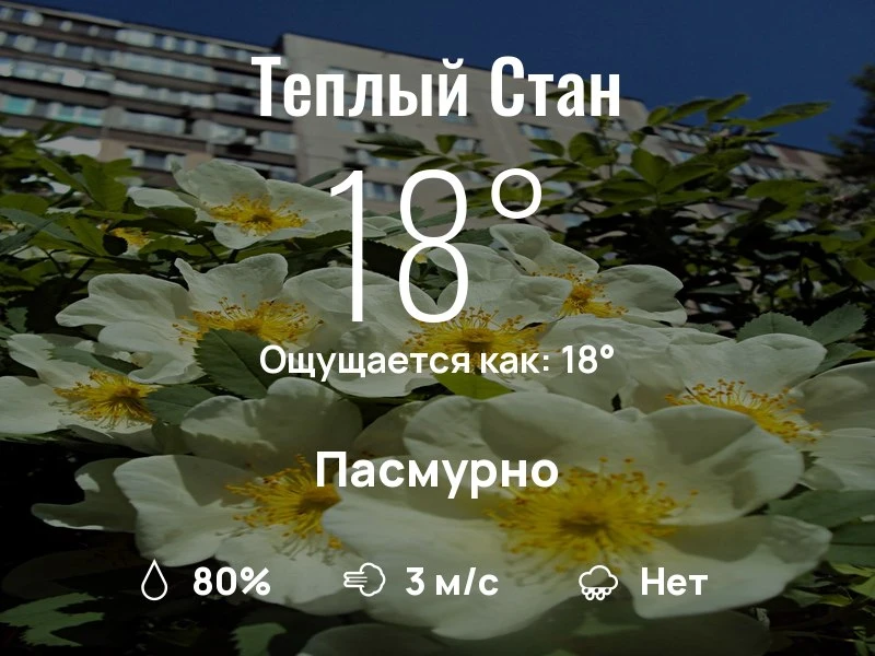 Что с погодой в Тёплом Стане?