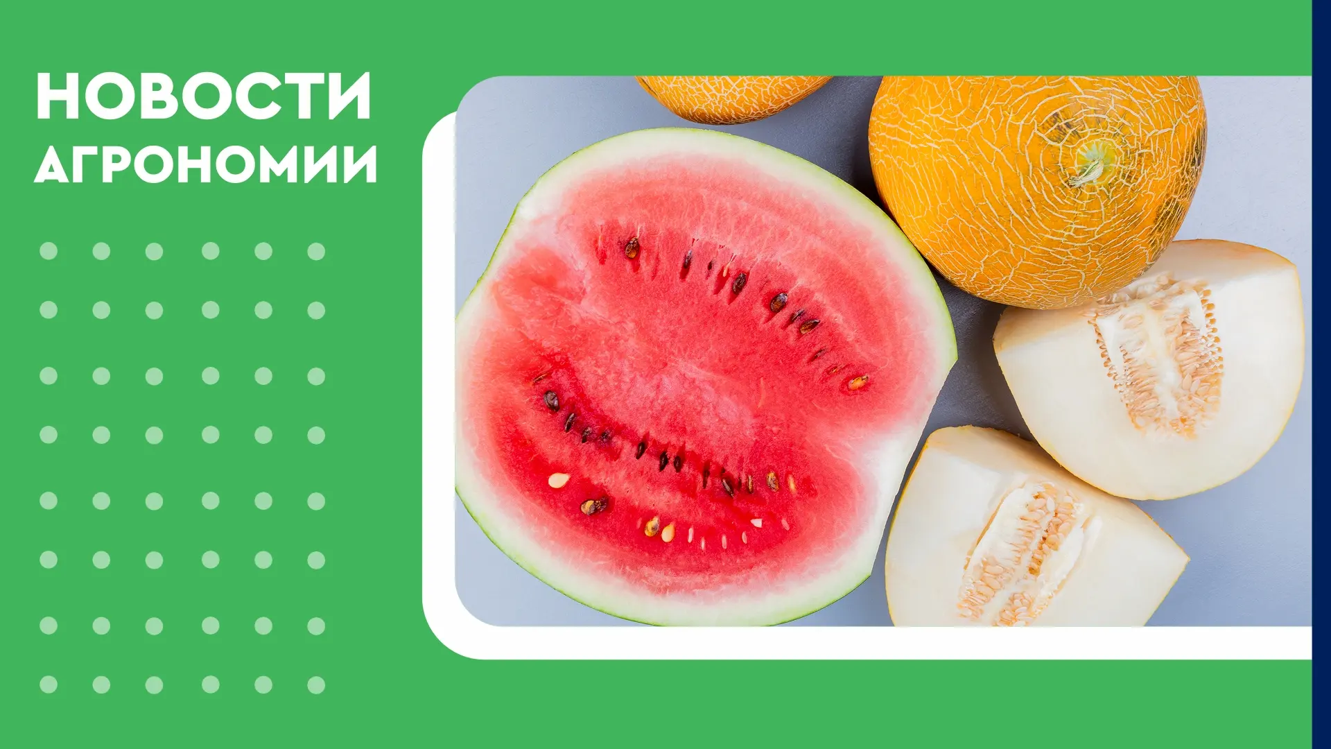 🍉 Дагестан собирает урожай бахчевых