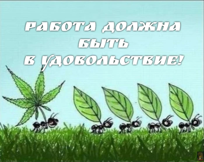 За Ежей в тумане    https://max.ru/public217562846