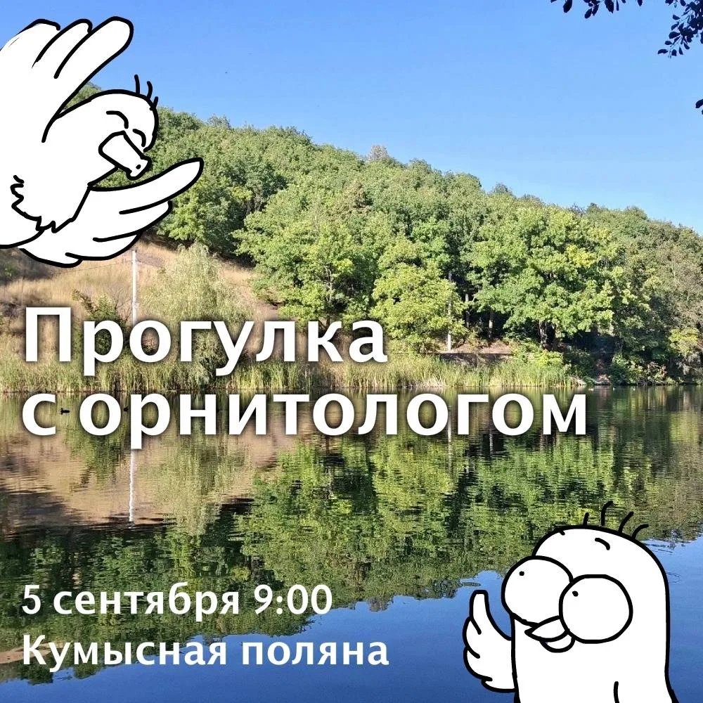 🐦‍⬛ В субботу утром будет очередная прогулка с орнитологом по Кумысной поляне.