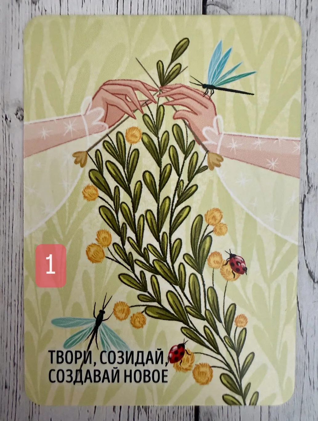 🪄НОВОЛУННЫЙ РАСКЛАД