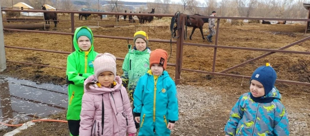 Наши ребята побывали на лошадиной ферме в нашем селе: наблюдали за грациозными животным...