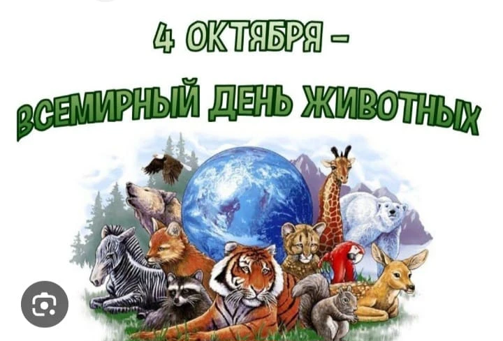 В средней группе «Теремок» в рамках детско-родительского проекта «Юннаты» прошло увлека...