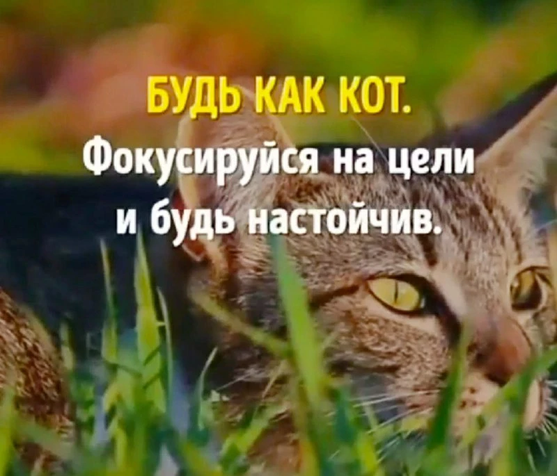 Изображение 4 к публикации «Мудрость дня»