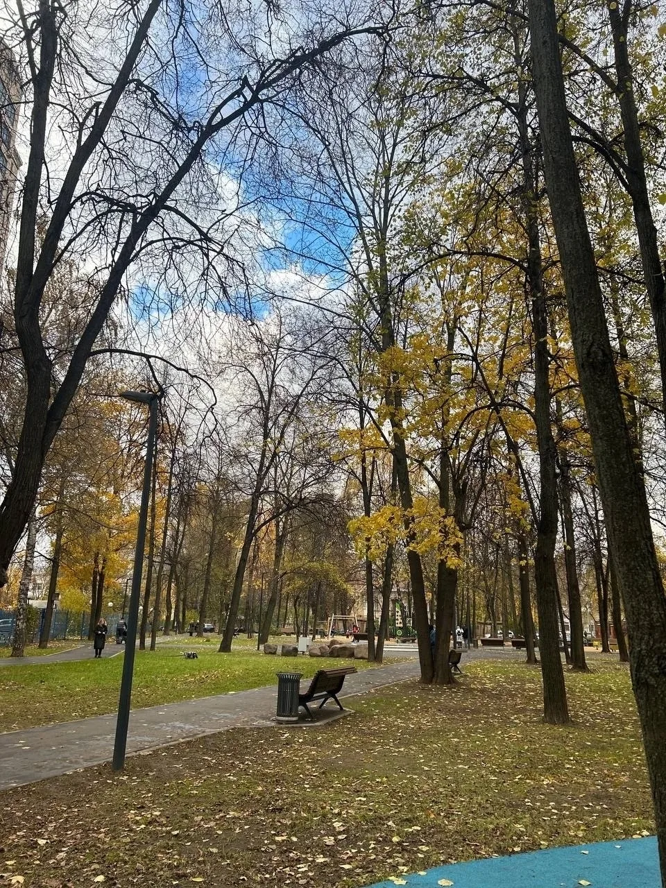 Наш осенний сквер «Юность» ❤️