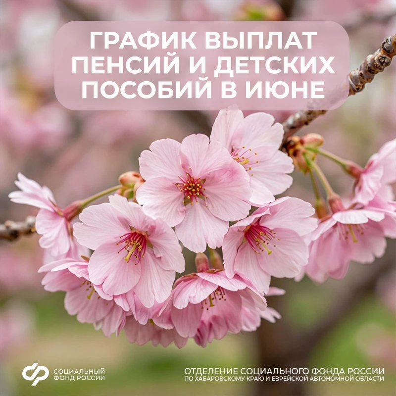 🗓️ Чтобы планировать семейный бюджет было проще — публикуем график выплат детских посо...