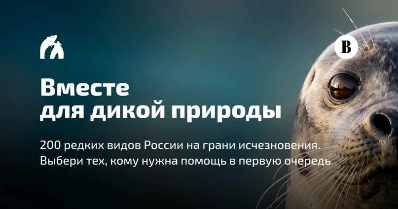 Присоединяйтесь к Всероссийской экологической инициативе «Вместе для дикой природы»❗