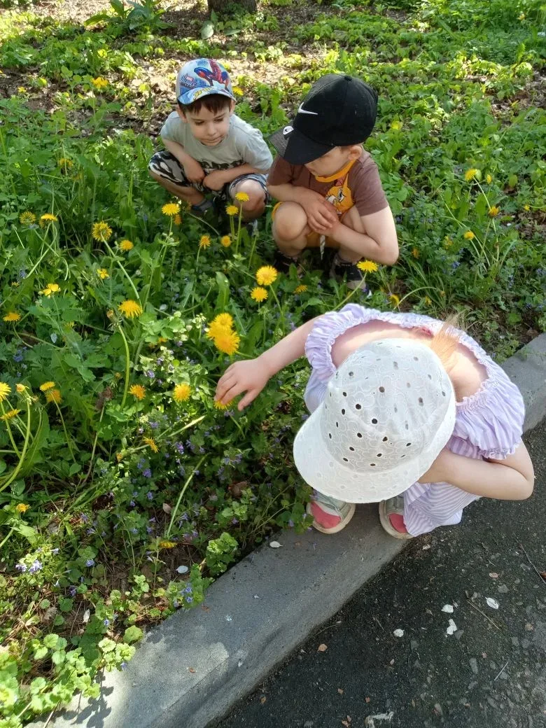 🌼 Сегодня в нашем детском саду началась тематическая неделя " Цветы на лугу".