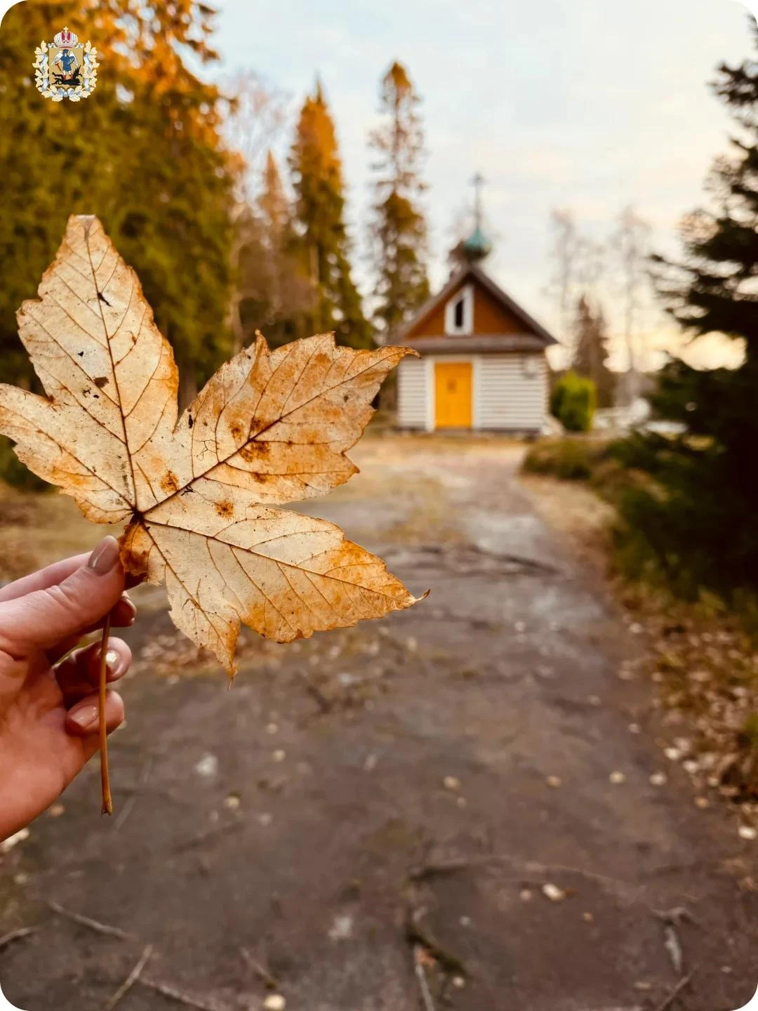 Ну, осень! 🤌🍁