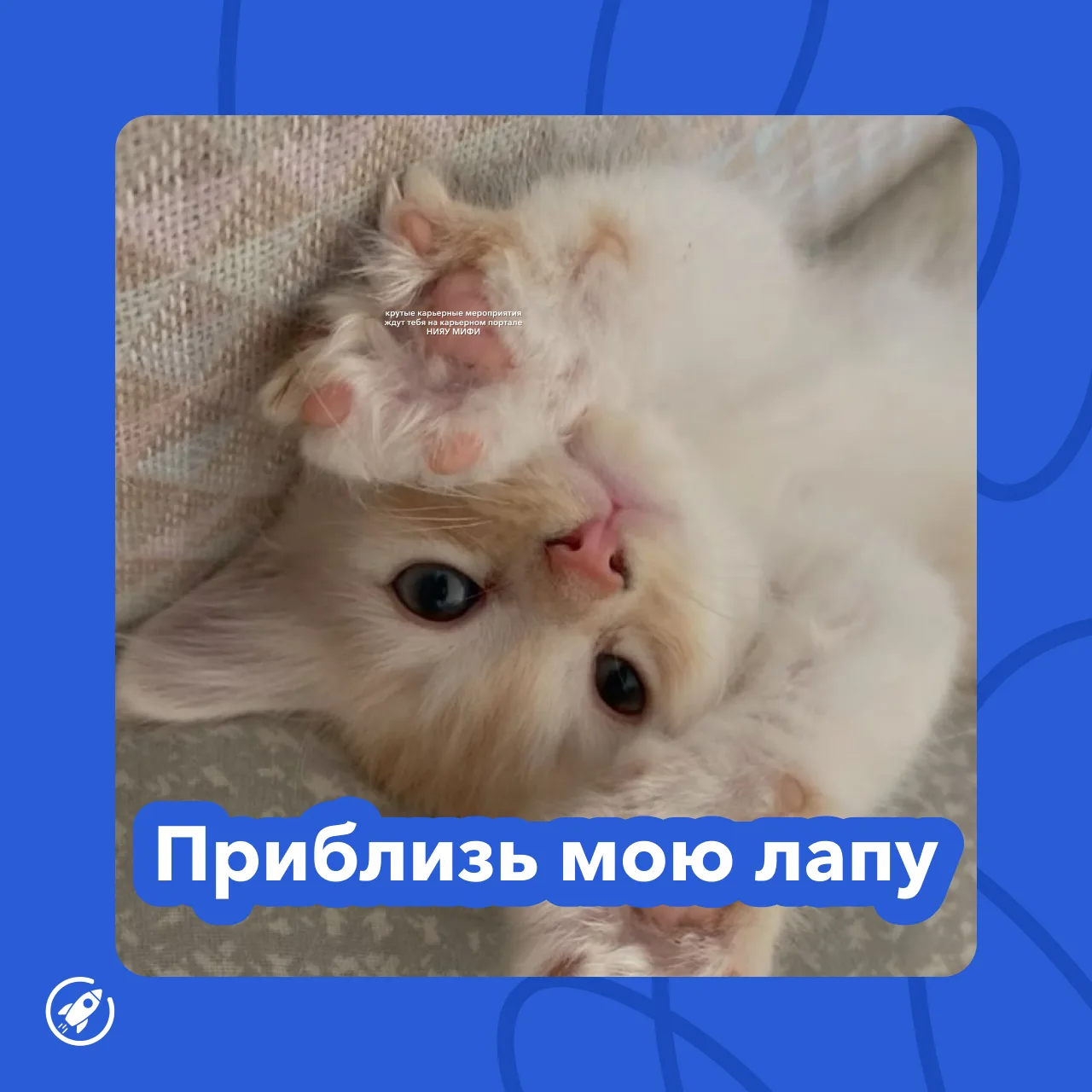 Проверь сам 👉 тык