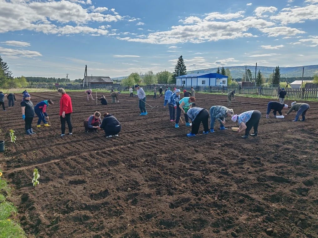 🥕🥔🧅🧄Наш пришкольный участок готов к лету!  Праздничные дни сменились трудовыми будн...