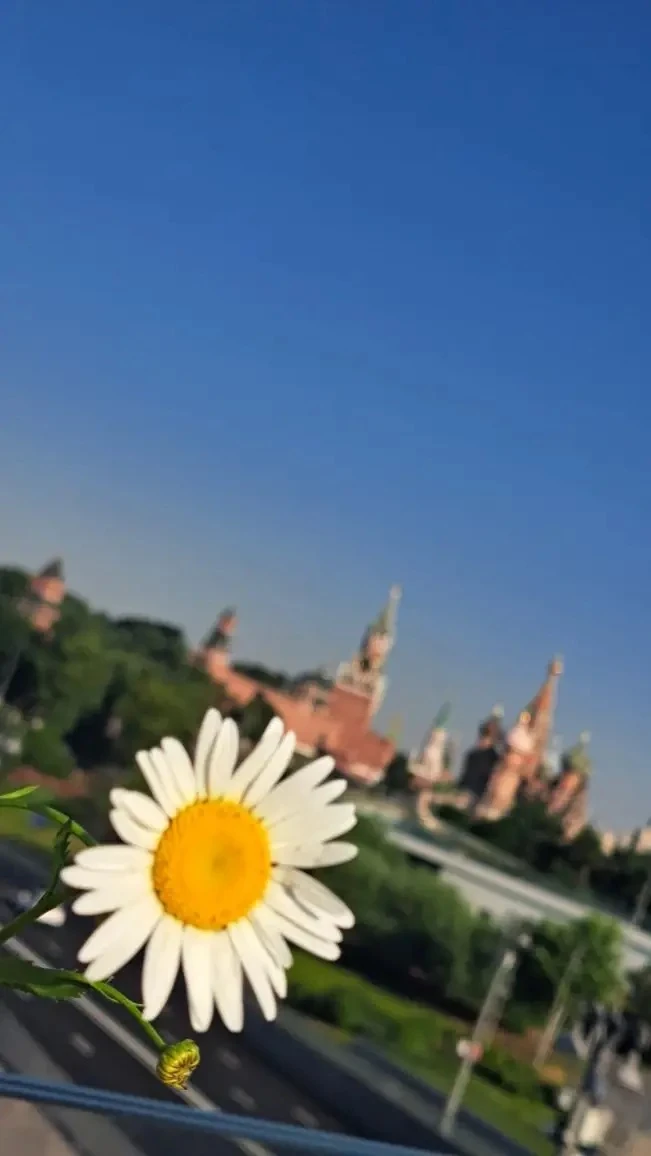 🐼Московские каникулы, 20.06.26 

При бронировании от 2-х мест - БОЛЬШАЯ скидка! 

Все вопросы - чер