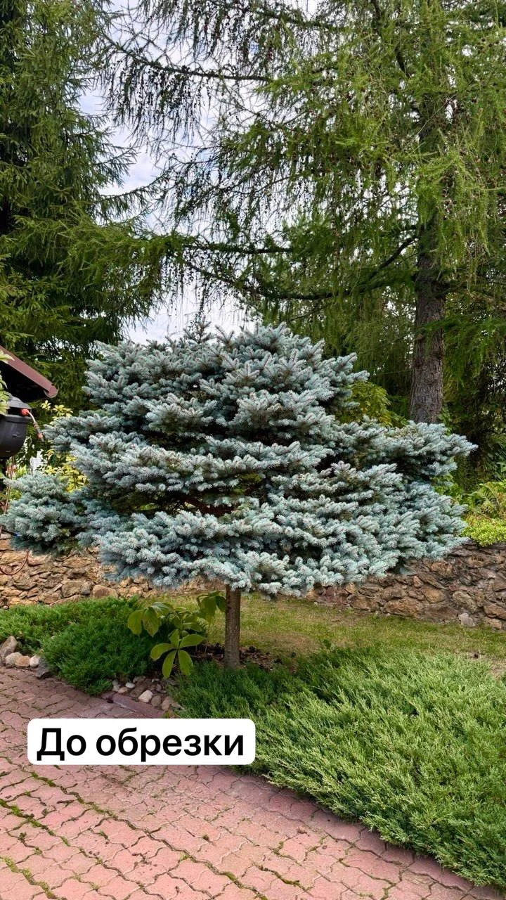 🌿 Всем доброго, прекрасного вечера из подмосковной Истры!