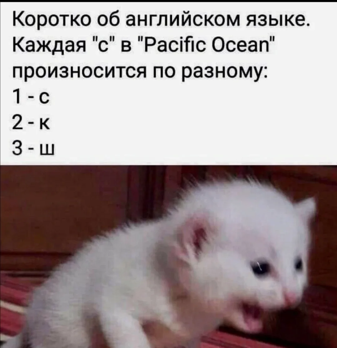 И ведь не возразишь. В этом вся его суть)