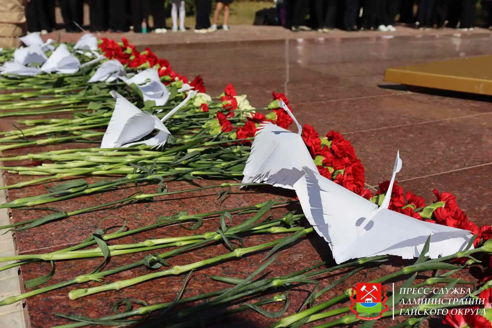 🌹Память, которую мы храним вместе