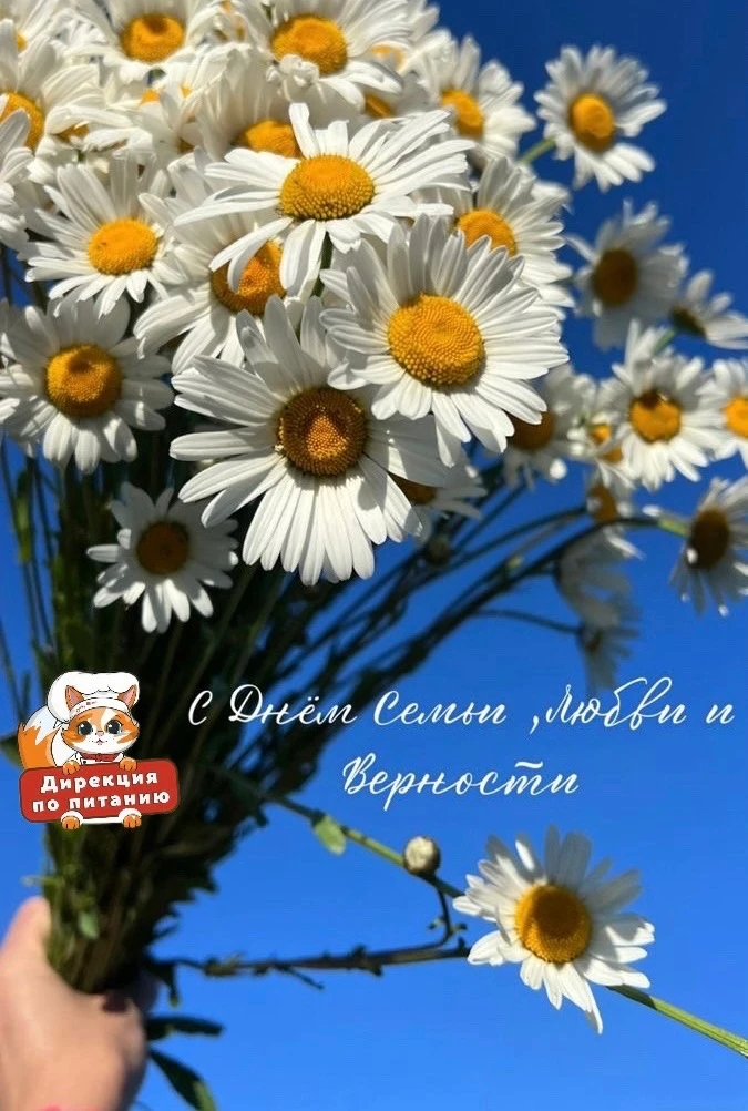 ✨ С Днём семьи, любви и верности! 💖