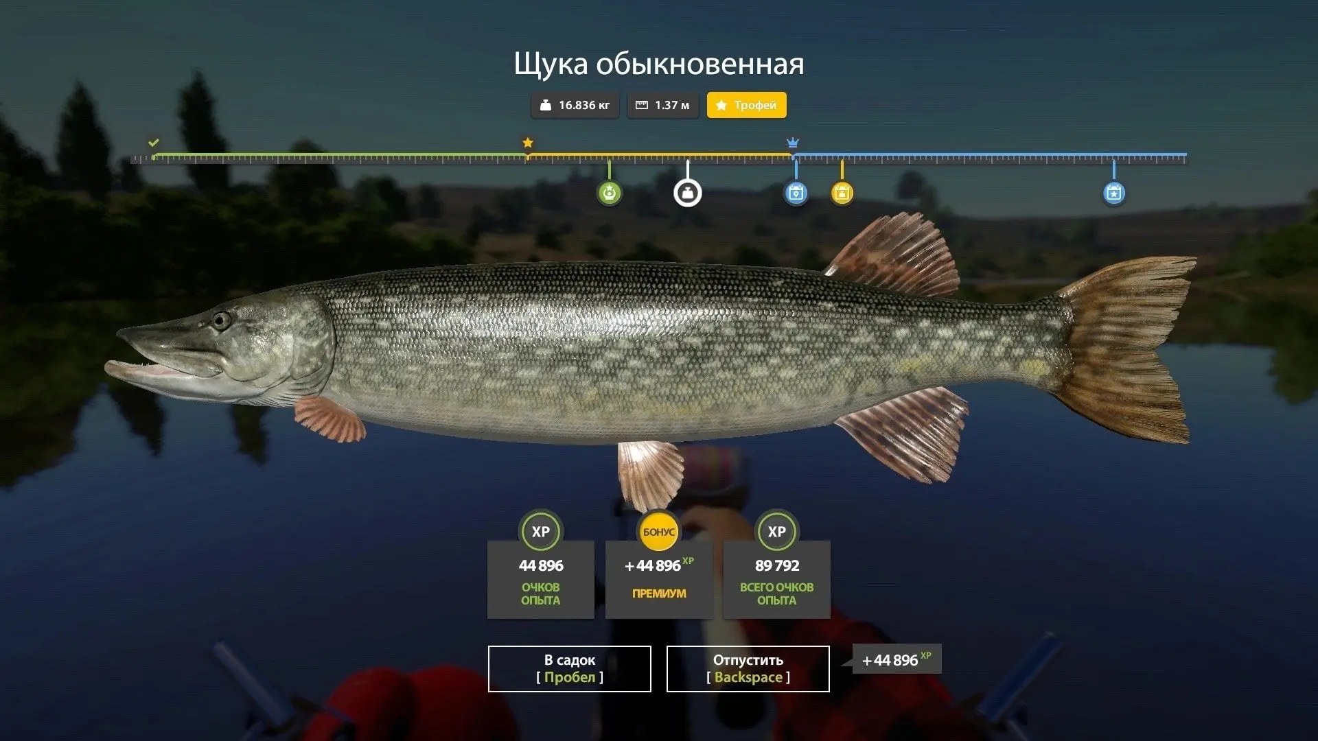 #сура