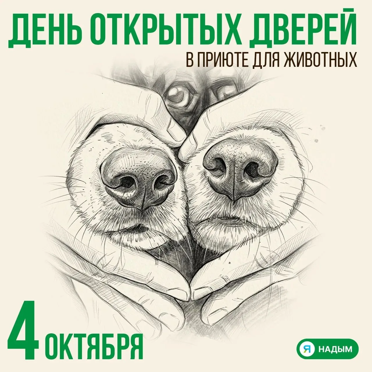 В воскресенье, 4 октября, с 14:00 до 18:00 муниципальный приют Надыма открывает двери д...