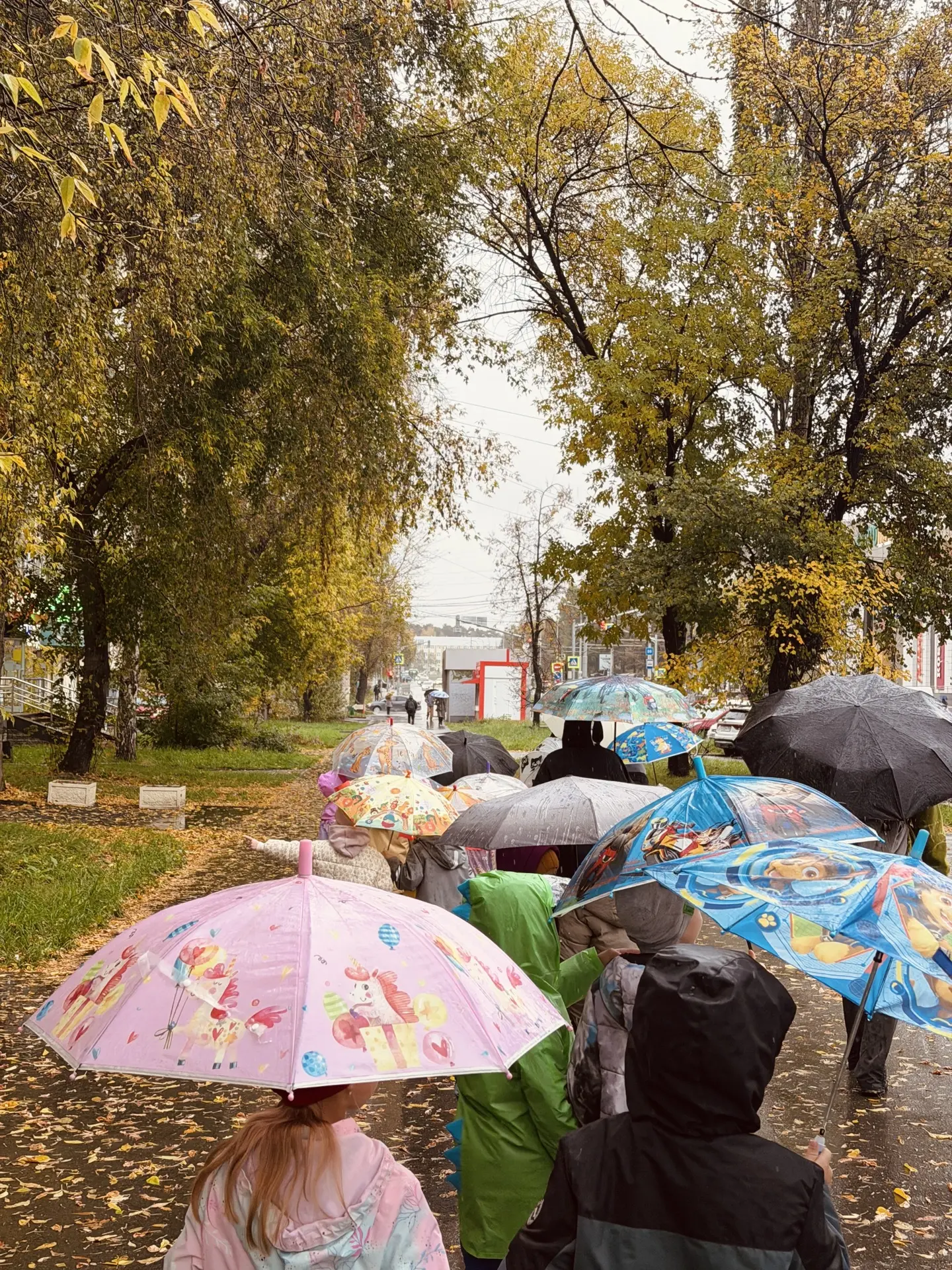 Путешествие в мир добрых сказок: наш визит в библиотеку №6 имени К.Г. Паустовского 📚✨