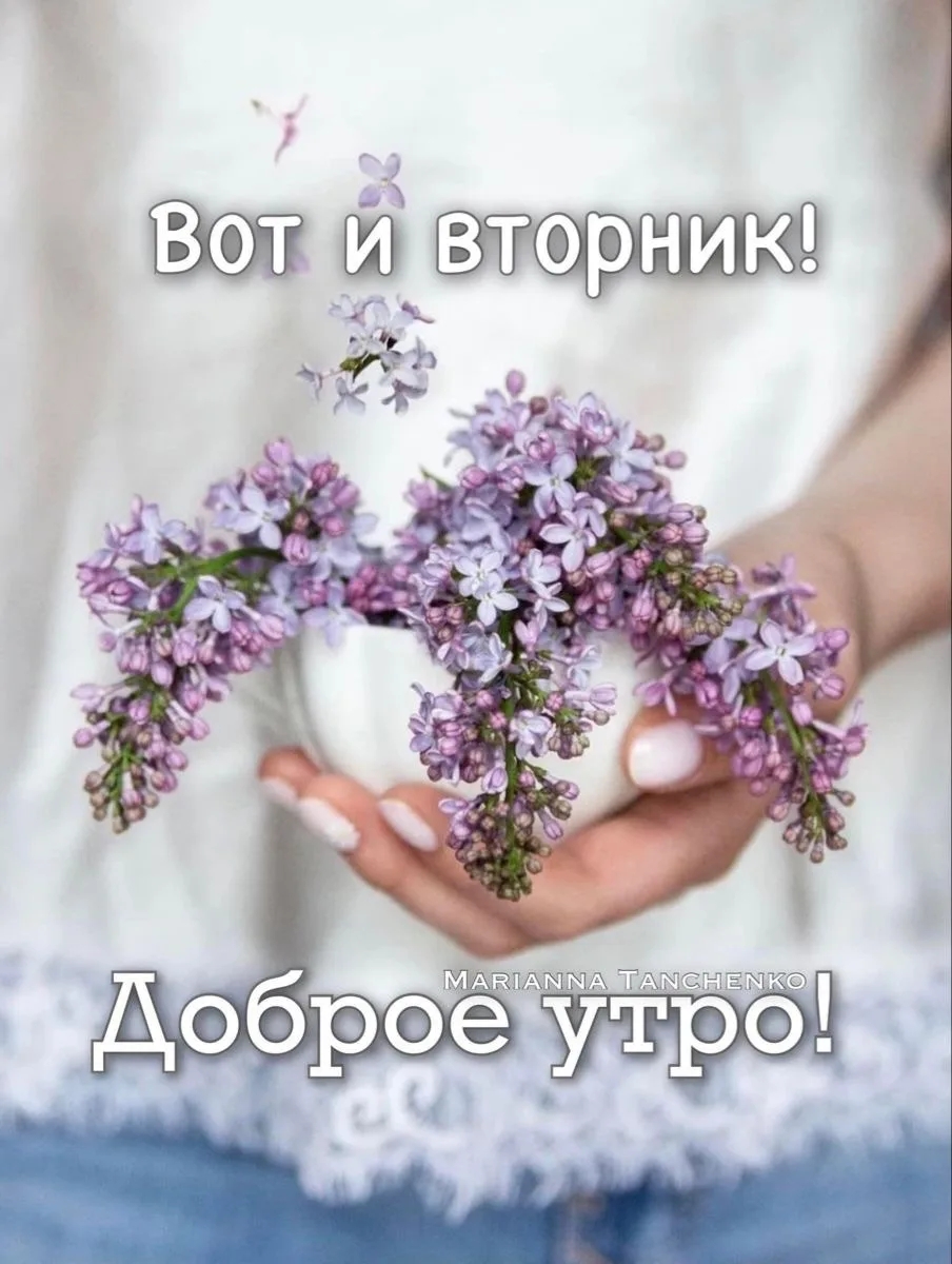 Всем привет!