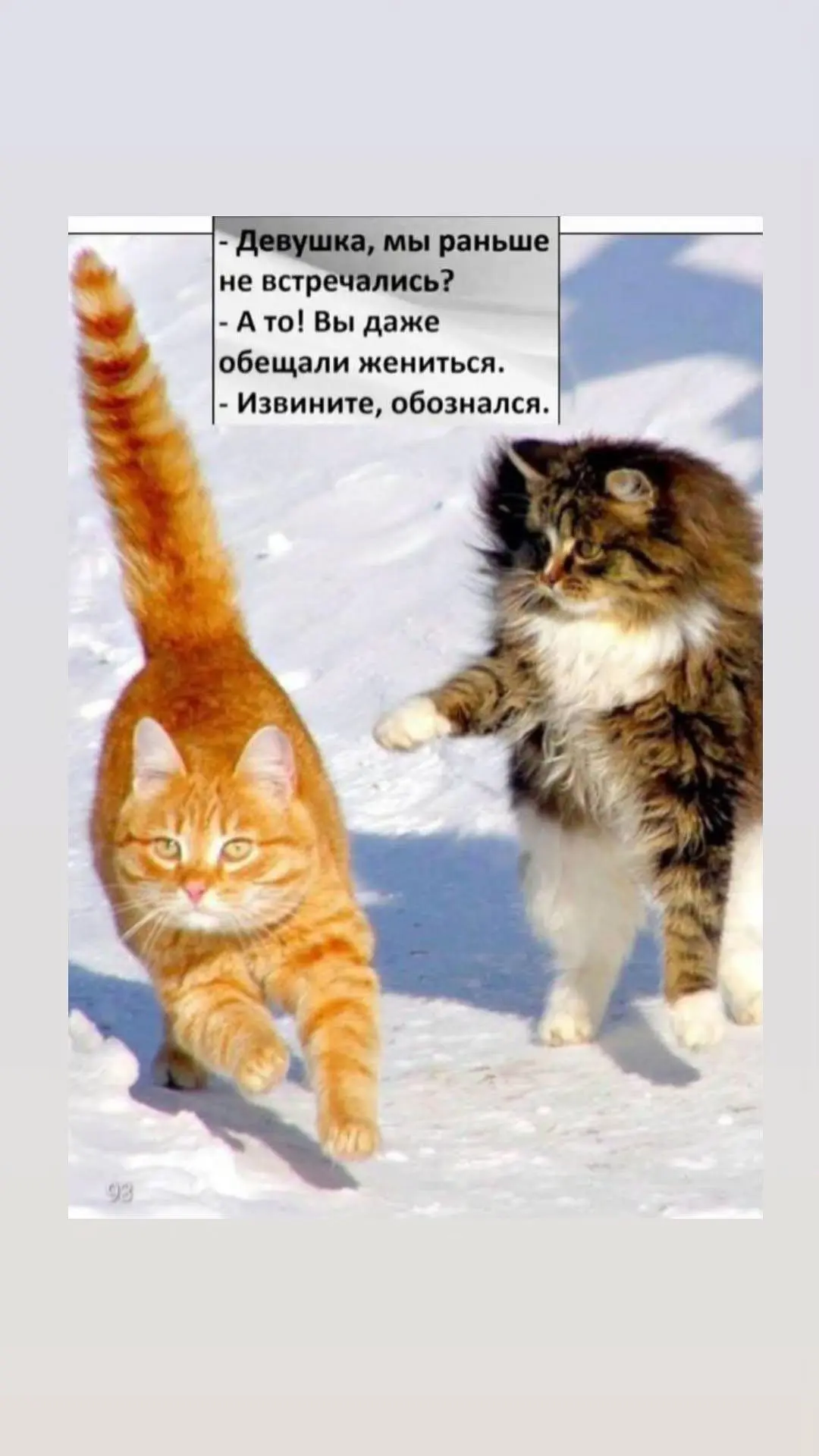 Уютной пятницы вам♥️
