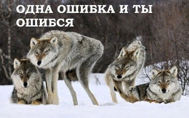 🔋 Куда исчезают силы в день старта? Разбор главного ментального сбоя