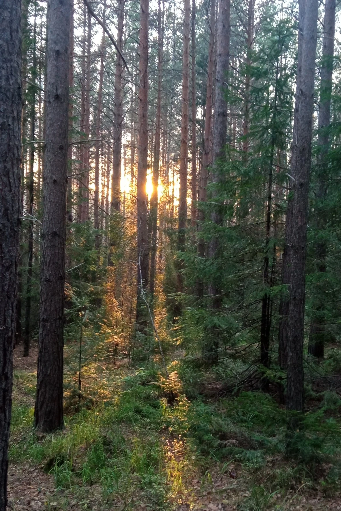 🍂 Первый день октября, а грибники не сдаются
