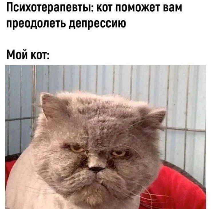Вот не зря снимают аж целые сериалы про провокативную психологию! Не знаете что это? А ...