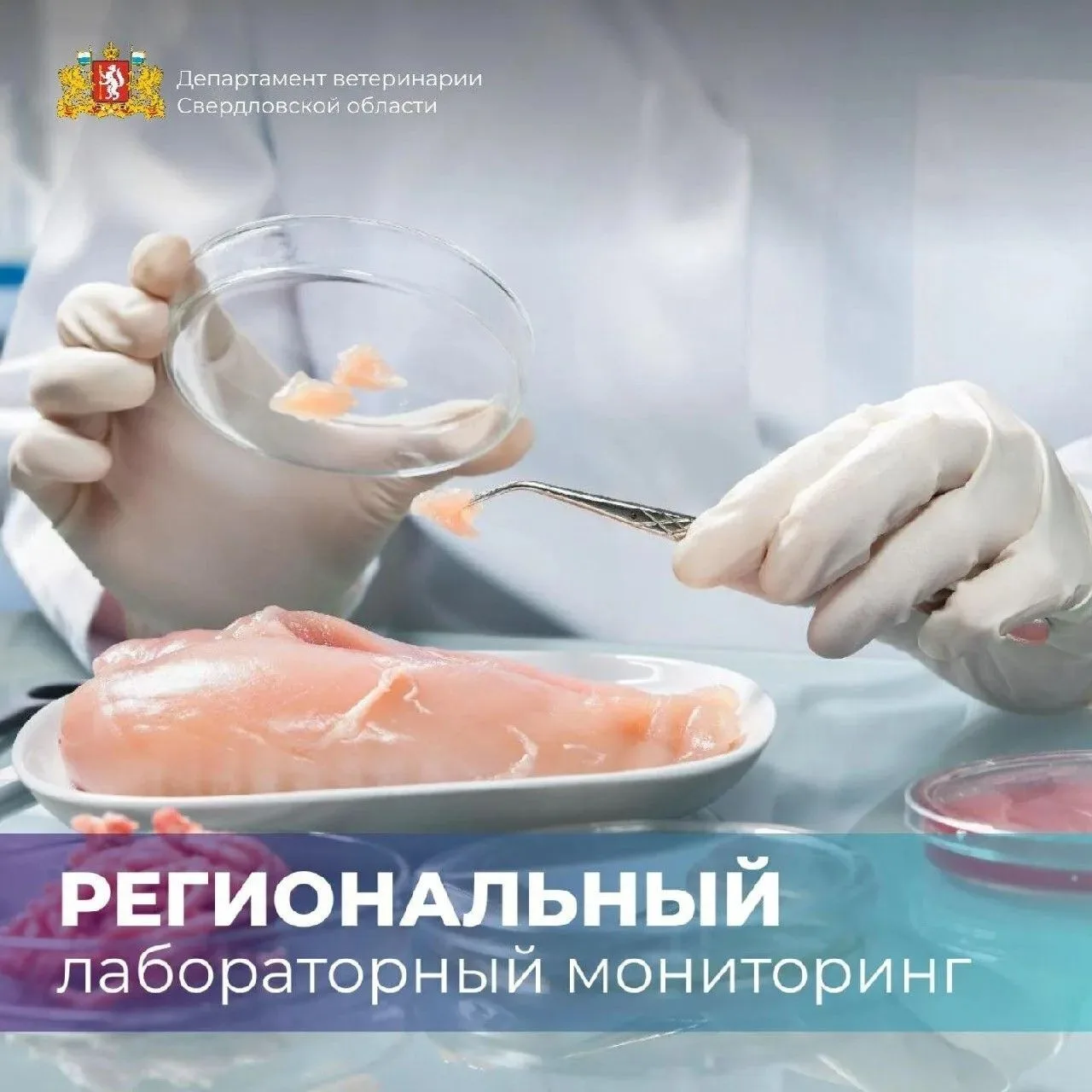 🔍 Безопасность продуктов питания: что проверяет ветеринарная служба