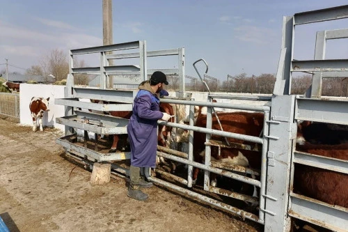 🌾Новочеркасский городской суд удовлетворил иск прокурора города о нецелевом использовании земельног